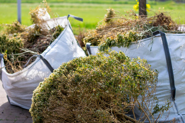 Best Same-Day Junk Removal Services  in Fall River, MA